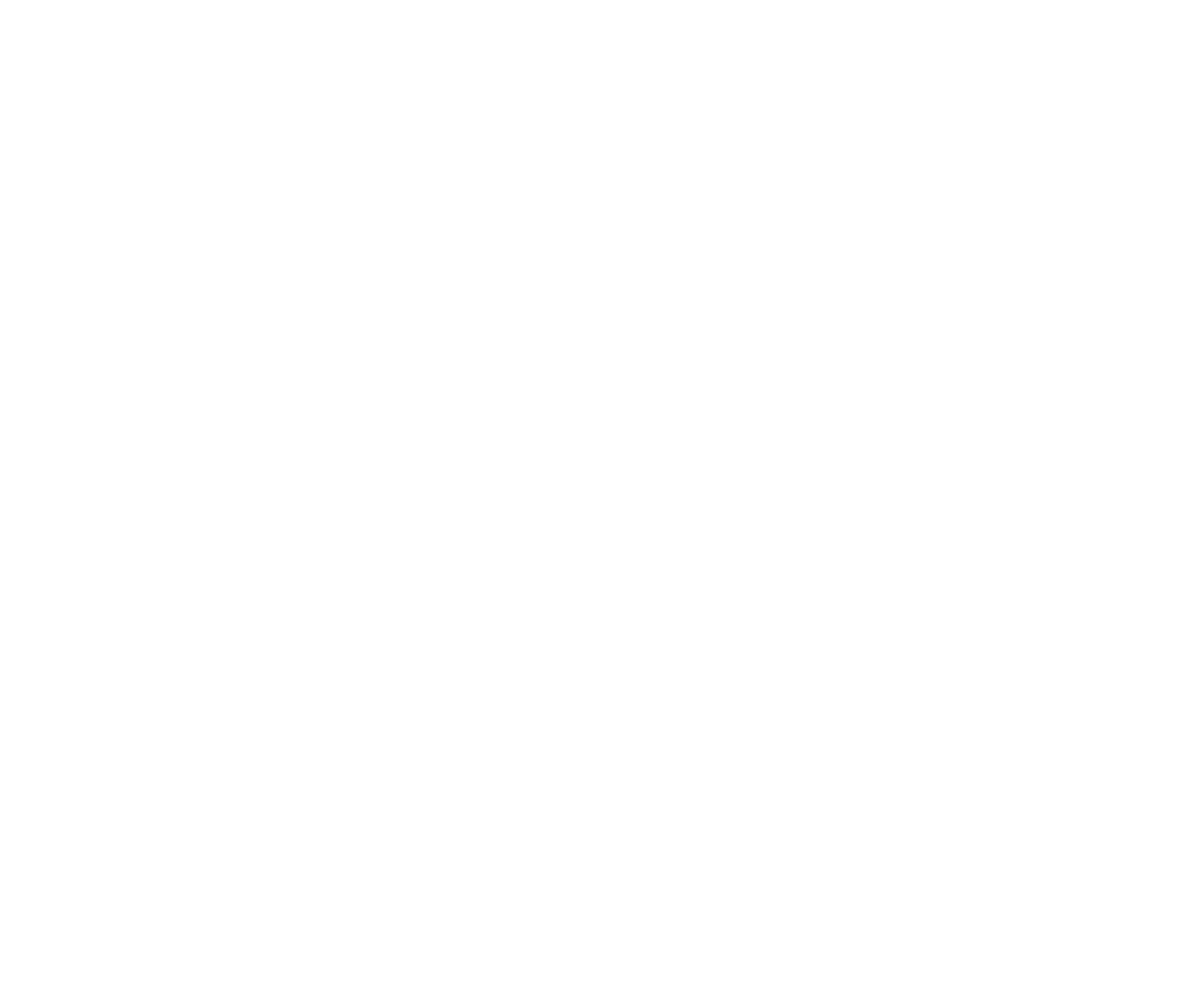 Disc Golf Party Logo